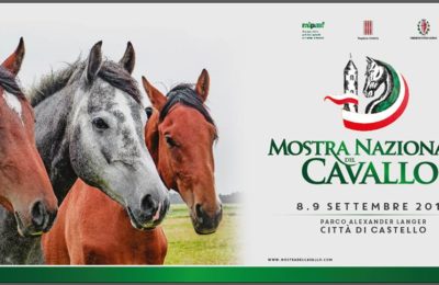 mostra nazionale del cavallo 50° ed. – 8 e 9 settembre, parco a. langer, ore 9