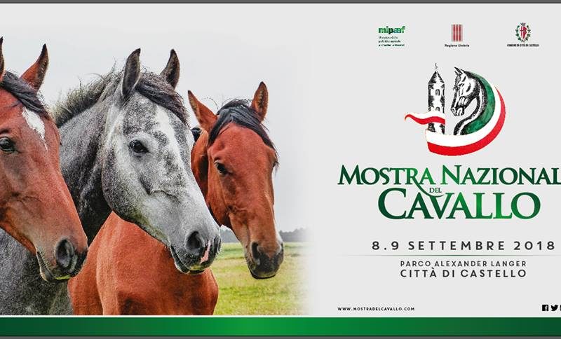 mostra nazionale del cavallo 50° ed. – 8 e 9 settembre, parco a. langer, ore 9